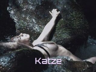 Katze