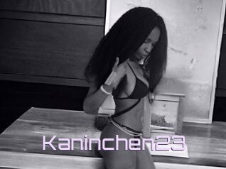 Kaninchen23