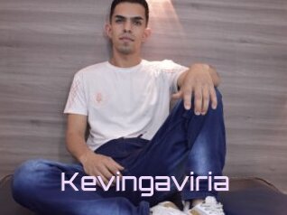 Kevingaviria