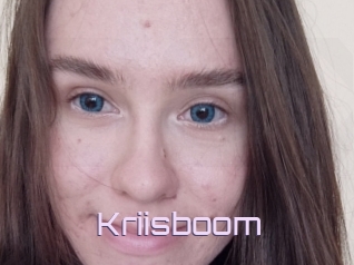 Kriisboom