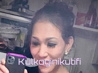 Kulkoginikutifi
