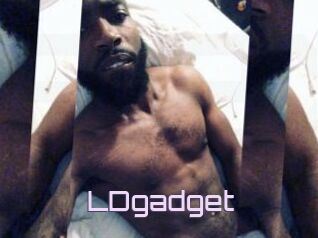 LDgadget