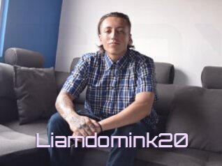 Liamdomink20