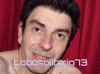 Lobosolitario73