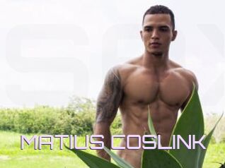 MATIUS_COSLINK