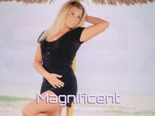 Magnificent