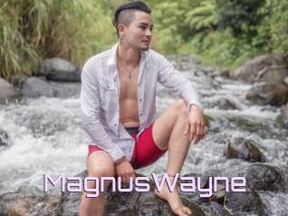 MagnusWayne