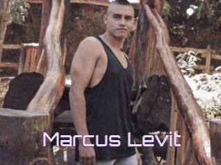 Marcus_Levit