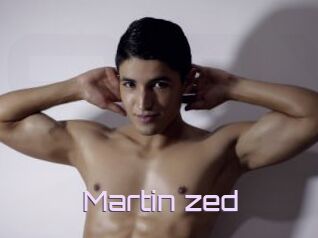 Martin_zed