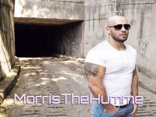 MorrisTheHumme