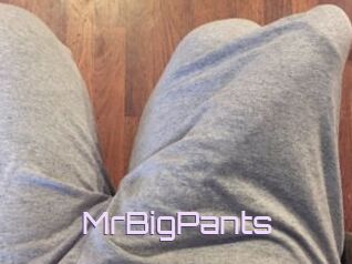 MrBigPants