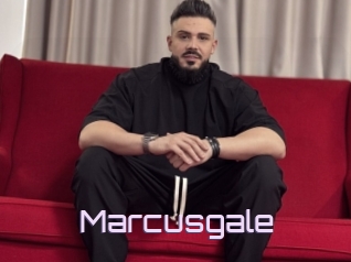 Marcusgale