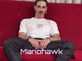 Mariohawk