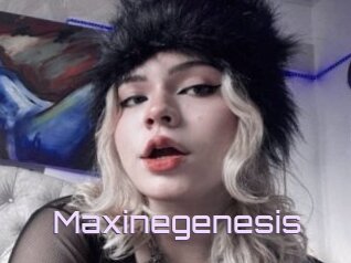 Maxinegenesis