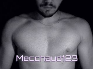 Mecchaud123