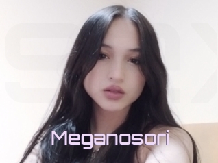 Meganosori