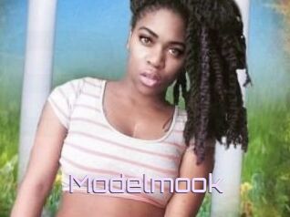 Modelmook