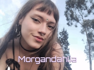 Morgandahlia