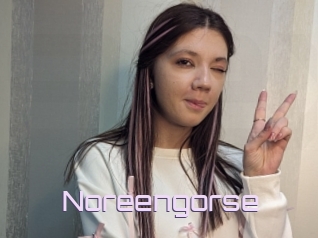 Noreengorse