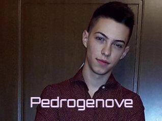 Pedrogenove