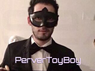 PerverToyBoy