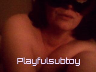Playfulsubtoy