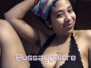 Pussaygalore