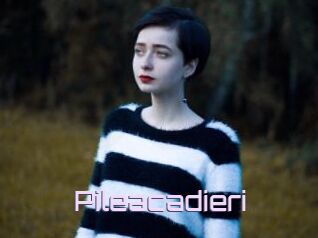 Pileacadieri