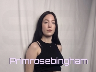 Primrosebingham