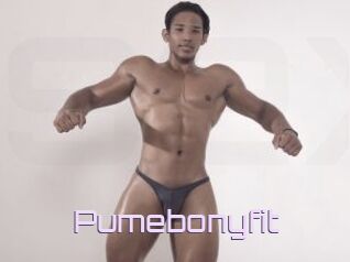Pumebonyfit