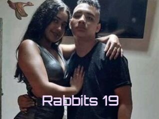 Rabbits_19