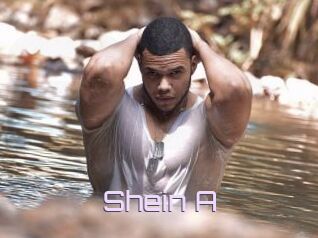 Shein_A
