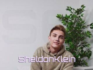 SheldonKlein