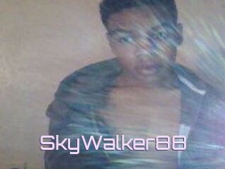 SkyWalker88