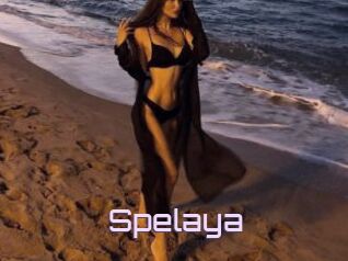Spelaya