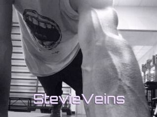 StevieVeins