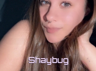 Shaybug