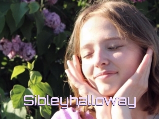 Sibleyhalloway