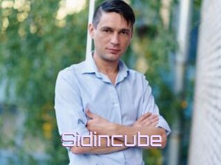 Sid_incube