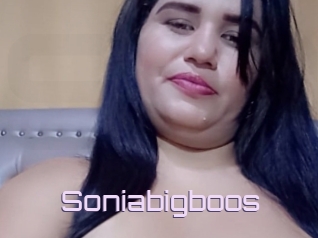 Soniabigboos