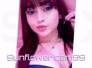 Sunflower_cam99