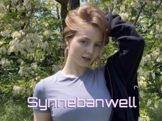 Synnebanwell