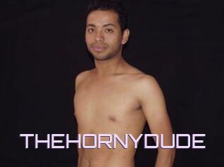 THEHORNYDUDE