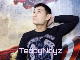 TeddyNoyz