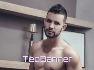 TeoBanner
