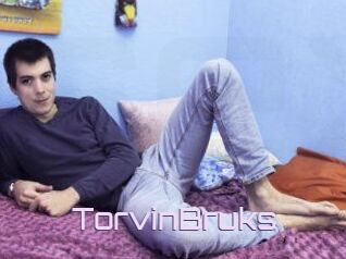 TorvinBruks