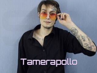Tamerapollo