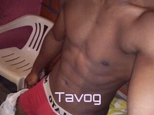 Tavog