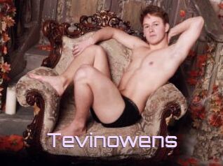 Tevinowens