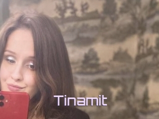 Tinamit